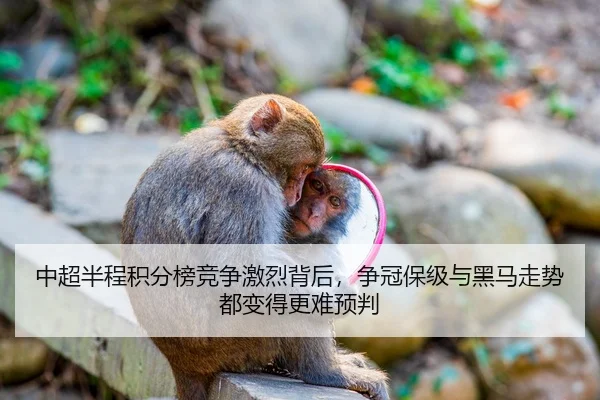 中超半程积分榜竞争激烈背后，争冠保级与黑马走势都变得更难预判 - Kering
